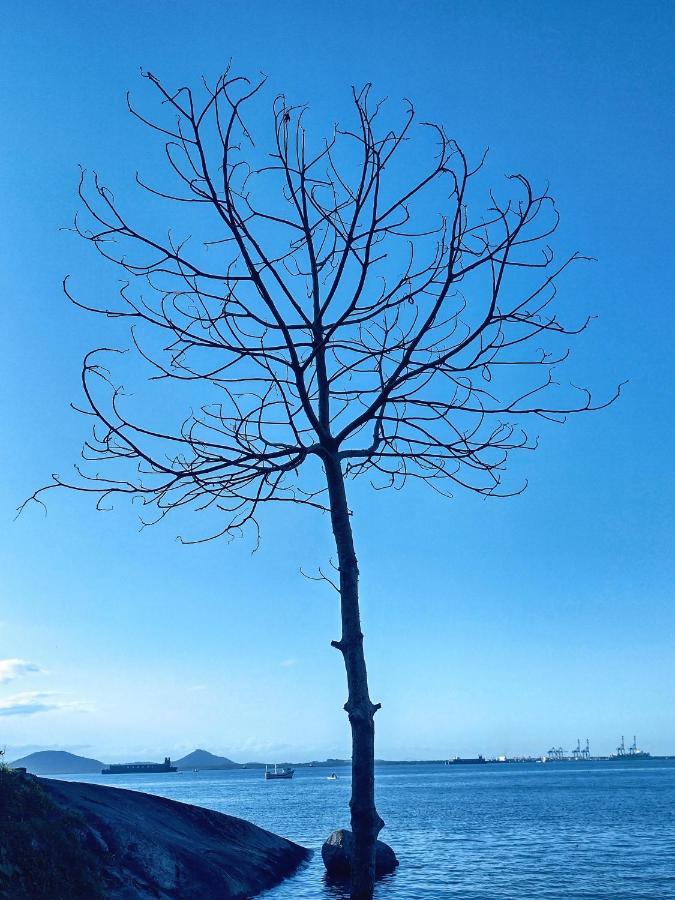 Pousada Pedra Das Tartarugas 상 프란시스코 두 술 외부 사진